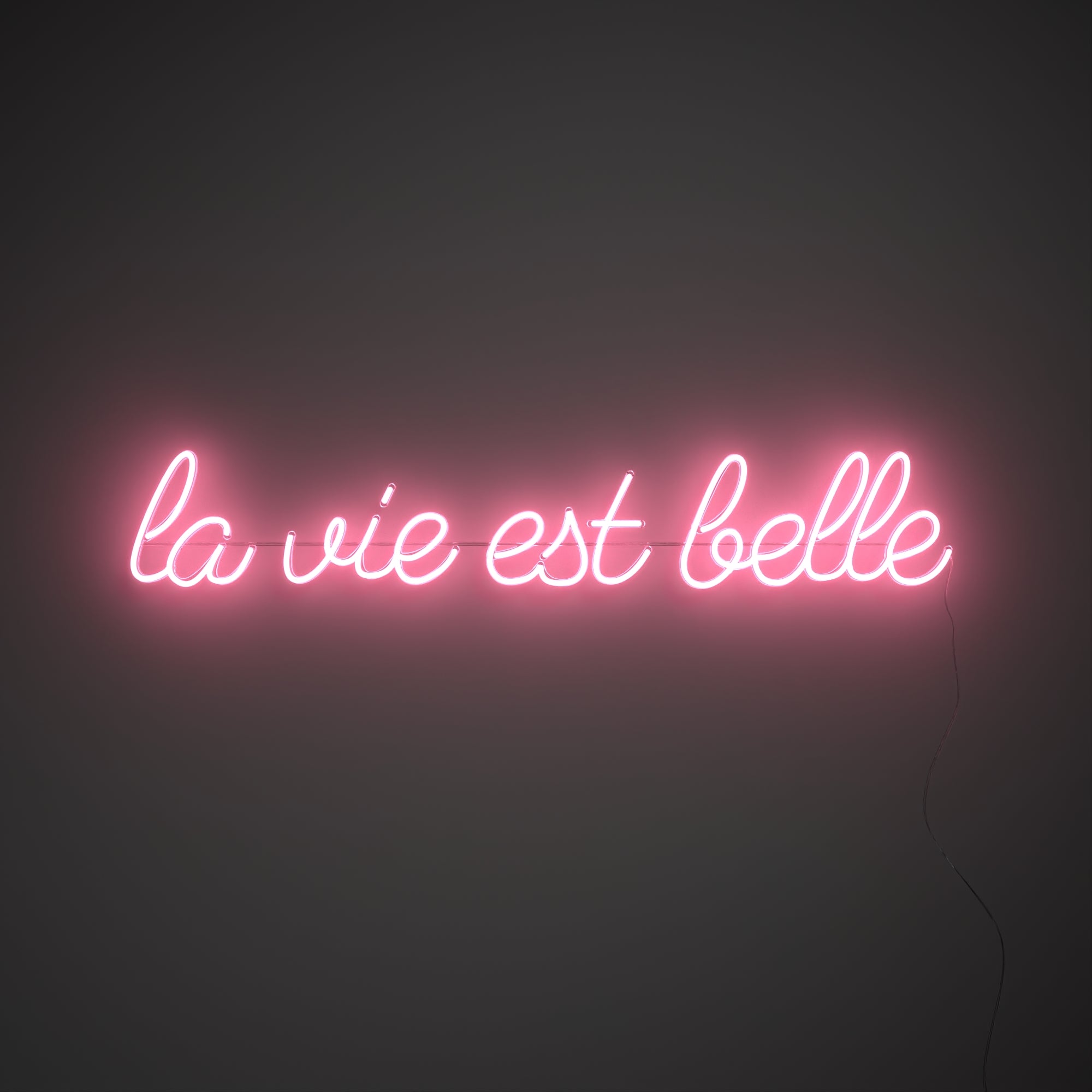 La vie est belle, signe en néon LED