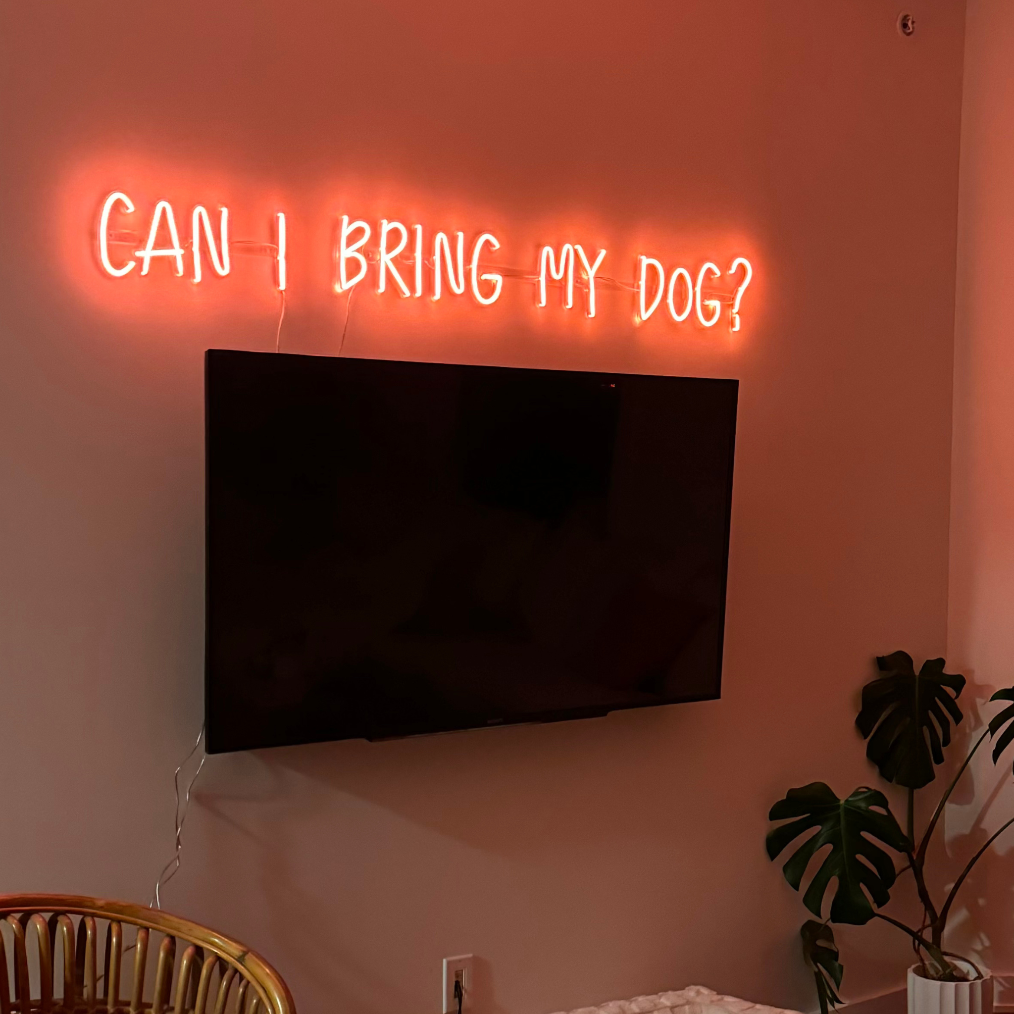 Personnalisez votre néon LED