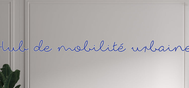 Custom text: Hub de mobilité urbaine