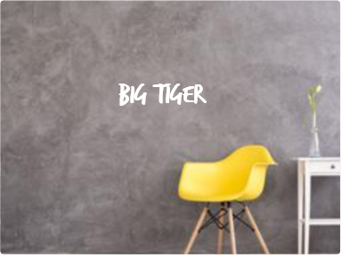 Custom text: BIG TIGER