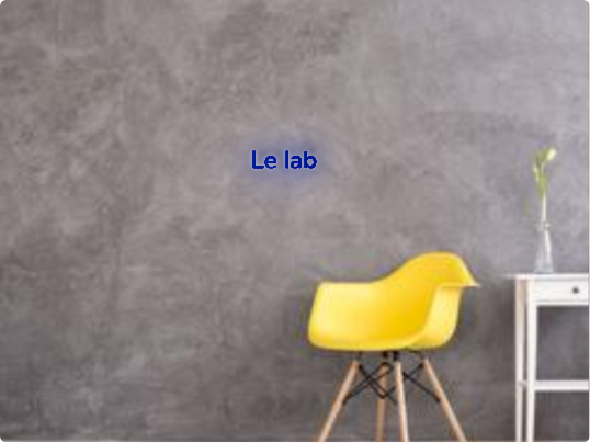 Custom text: Le lab