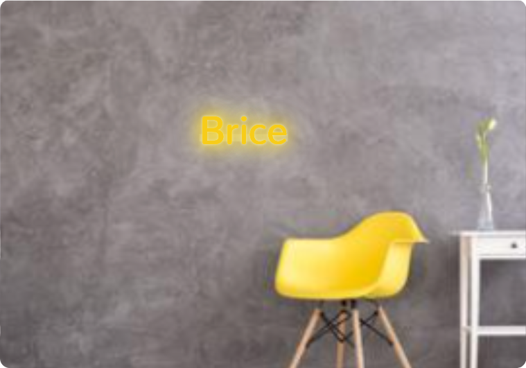 Custom text: Brice