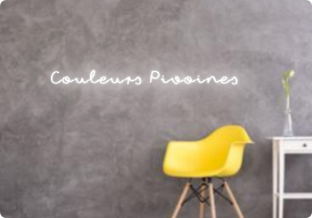 Custom text: Couleurs Pivoines