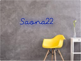 Custom text: Saona22