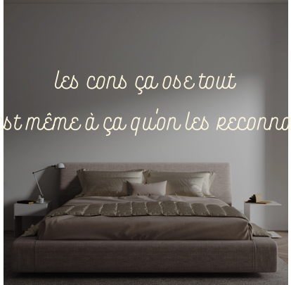 Custom text: les cons ça ose tout
c