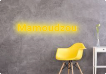 Custom text: Mamoudzou