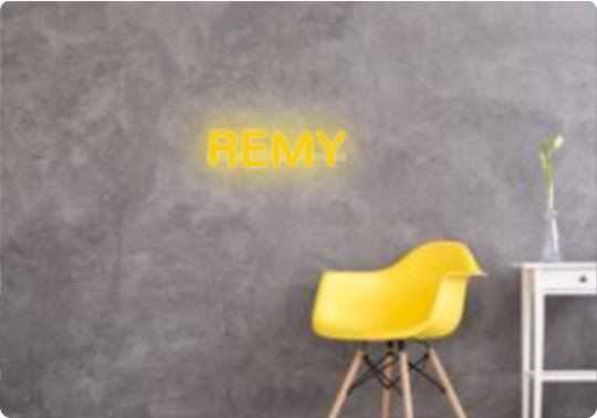 Custom text: REMY
