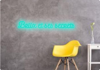 Custom text: Briix et ses secrets