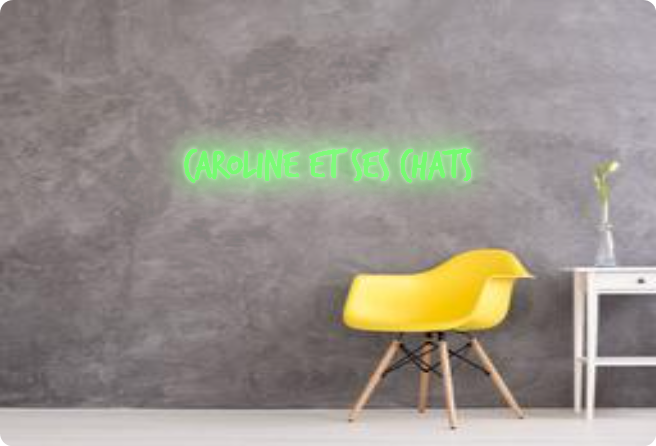 Custom order: Caroline et ses chats