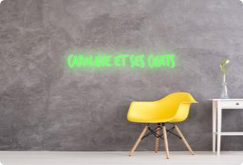 Custom order: Caroline et ses chats