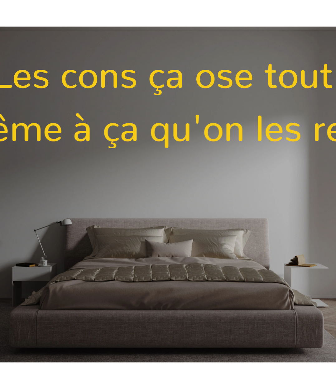 Custom text: Les cons ça ose tout.
C