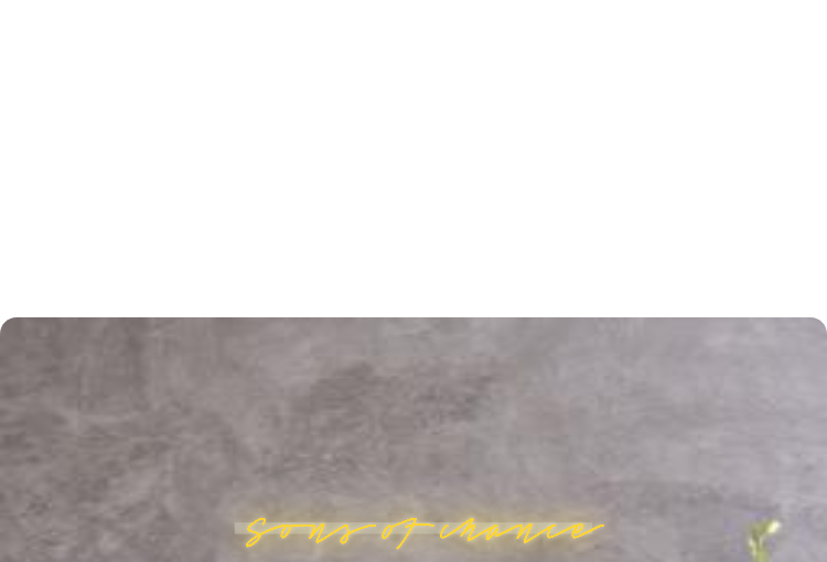 Custom order: Sons of chance