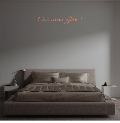 Custom text: Oui mon gâté !