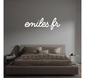 Custom text: emiles.fr