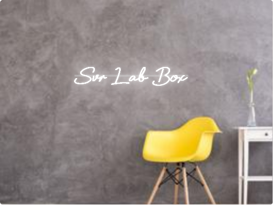 Custom text: Svr Lab Box