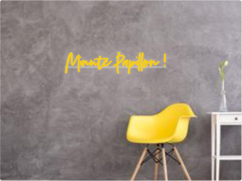 Custom text: Minute Papillon !