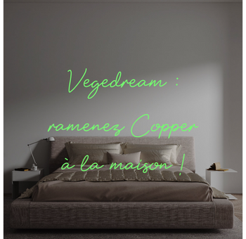 Custom text: Vegedream :
ramenez Copper
à la maison !