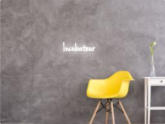 Custom text: Incubateur