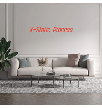 Custom text: X-Static Process