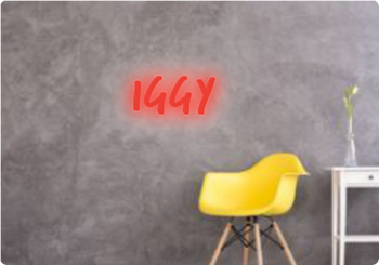 Custom text: IGGY