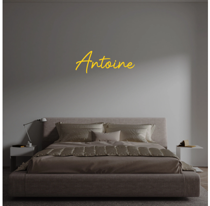 Custom text: Antoine