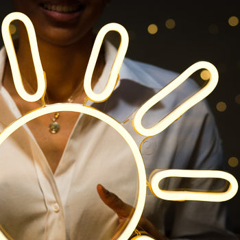 CertiLED™ : Le futur des néons LED