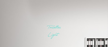 Custom text: Toilettes
Light