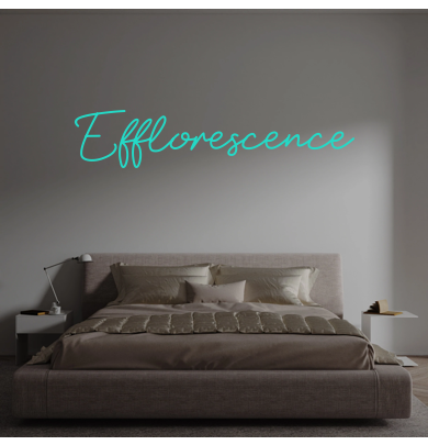 Custom text: Efflorescence