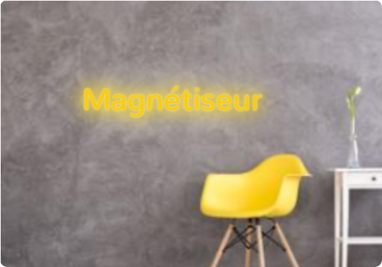 Custom text: Magnétiseur