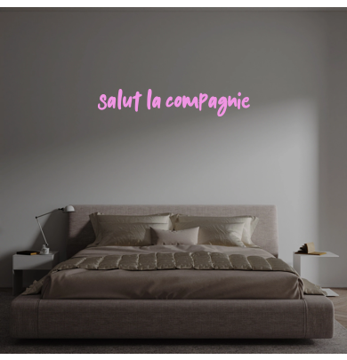 Custom text: Salut la compagnie