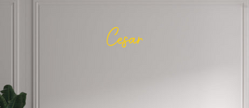 Custom text: Cesar