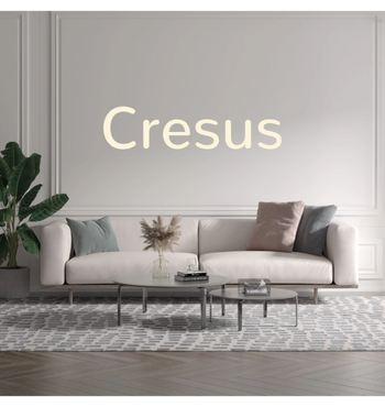 Benutzerdefinierter Text: Cresus