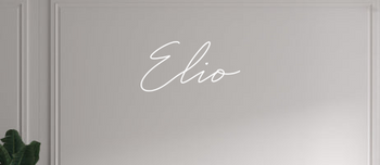 Custom text: Élio