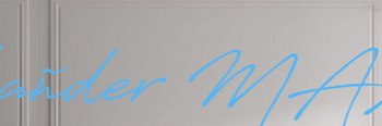 Custom text: L
