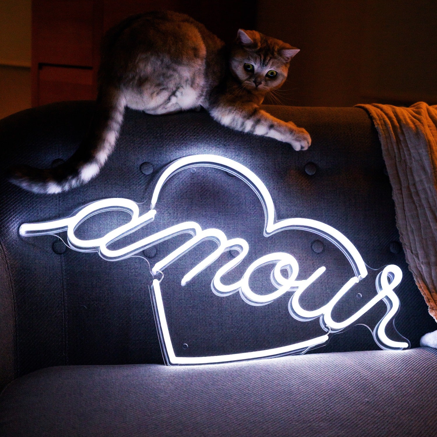 Amour by Jean André, neon LED sign