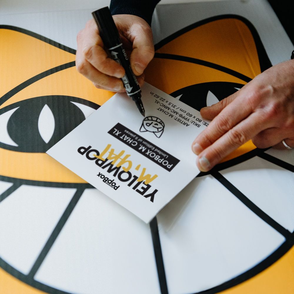 PopBox Mr. Chat XL x YP - 5 Units