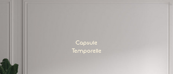 Custom text: Capsule 
Temporelle
