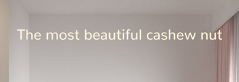 Custom text: The most beautiful cashew nut