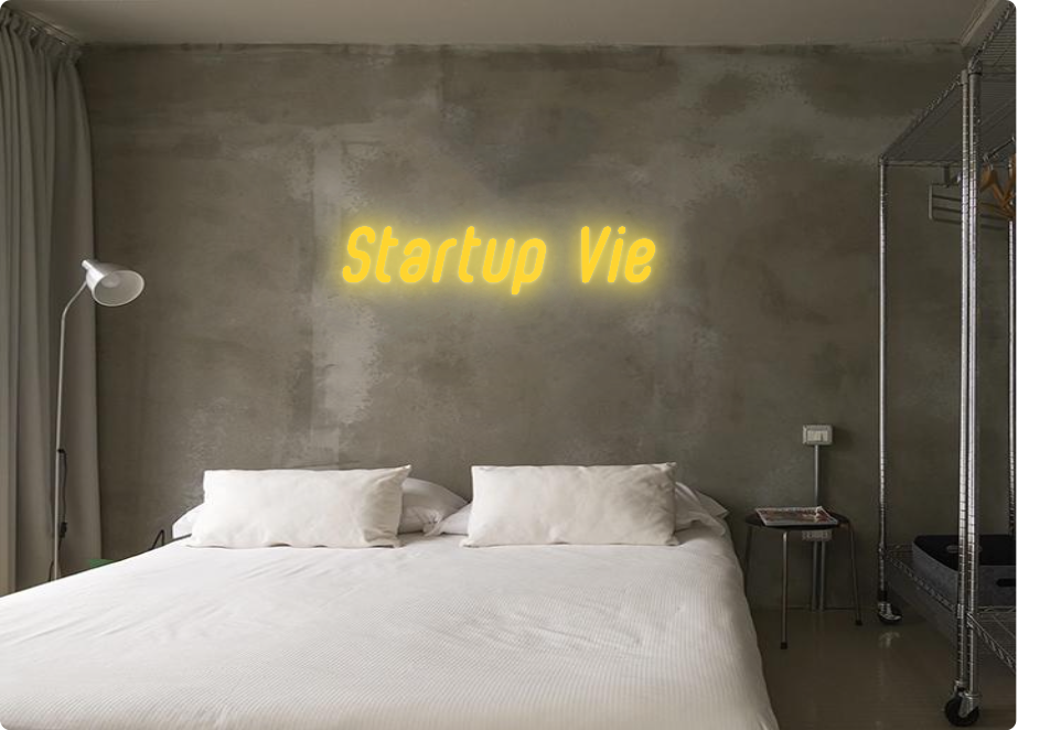 Custom order: Startup Vie