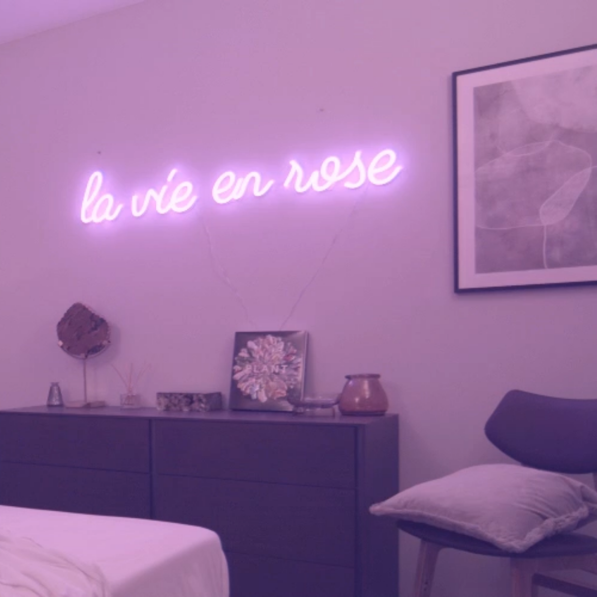 La vie en rose - neon LED sign