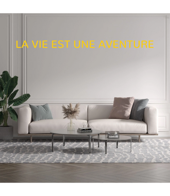 Custom text: LA VIE EST UNE AVENTURE