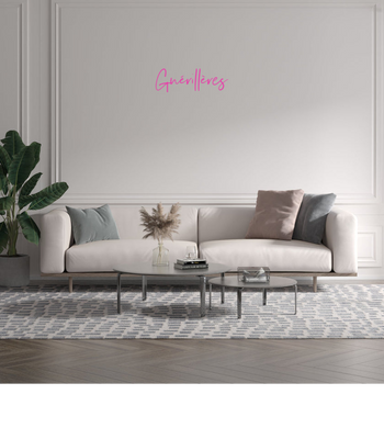 Custom text: Guérillères