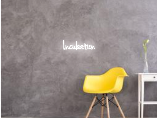 Custom text: Incubation
