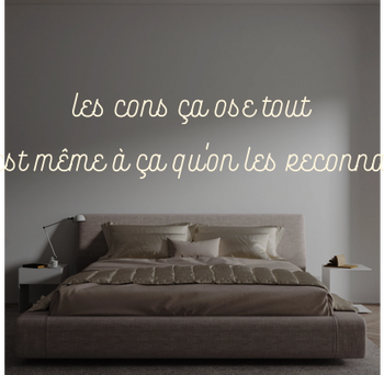 Custom text: les cons ça ose tout
c