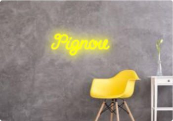 Custom text: Pignou