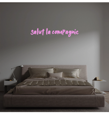 Custom text: Salut la compagnie