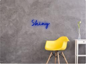 Custom text: Shiny