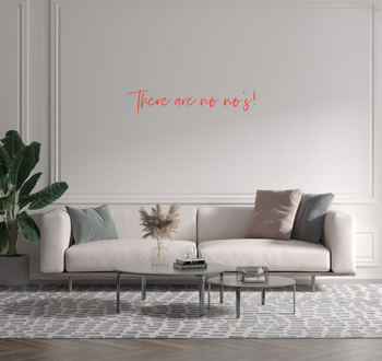 Custom text: There are no no