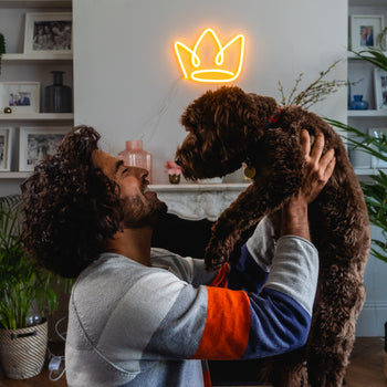 The Crown - neon LED sign