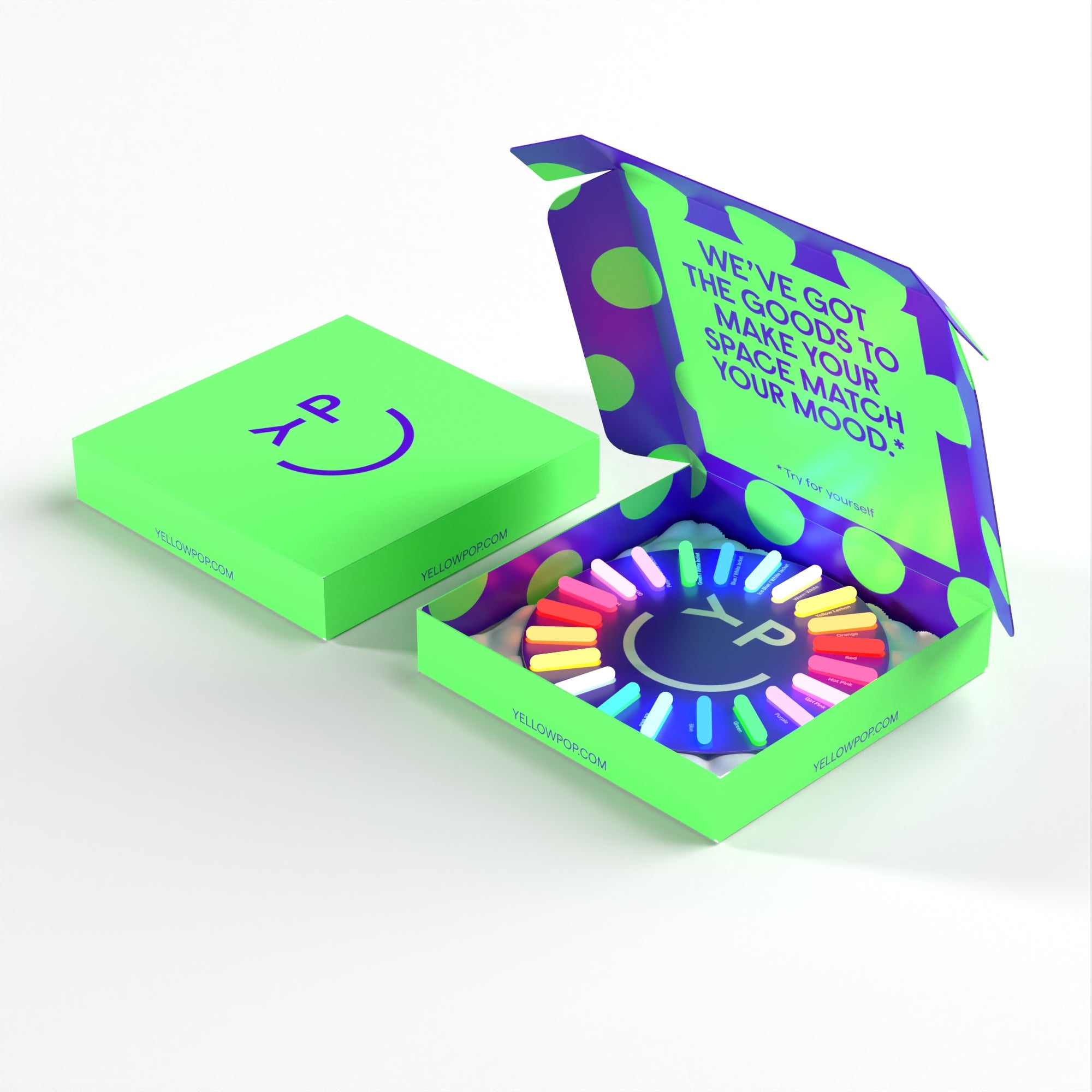 Color Palette (30€ coupon included 👀)